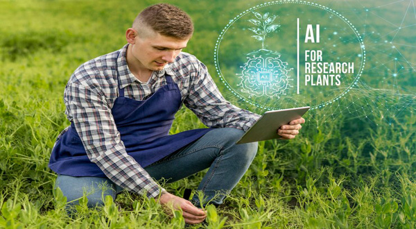  Advantages of Artificial Intelligence in Agriculture