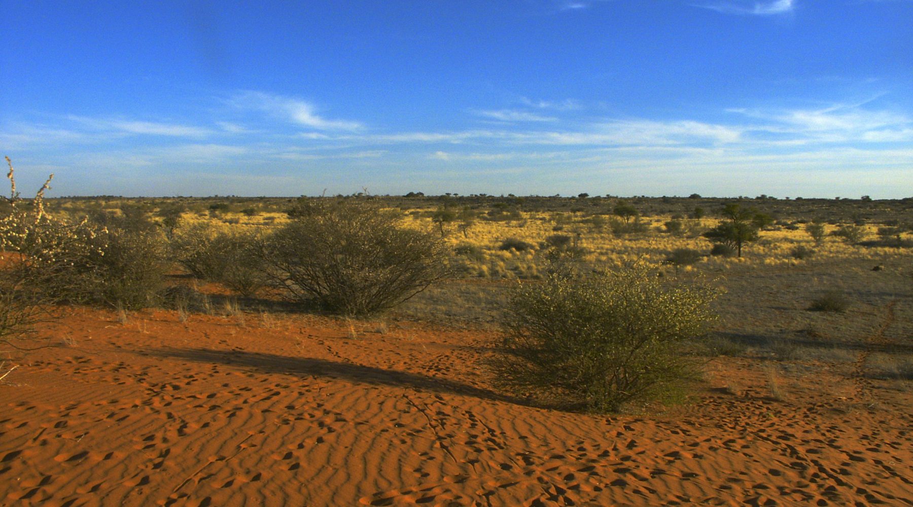 Namibia