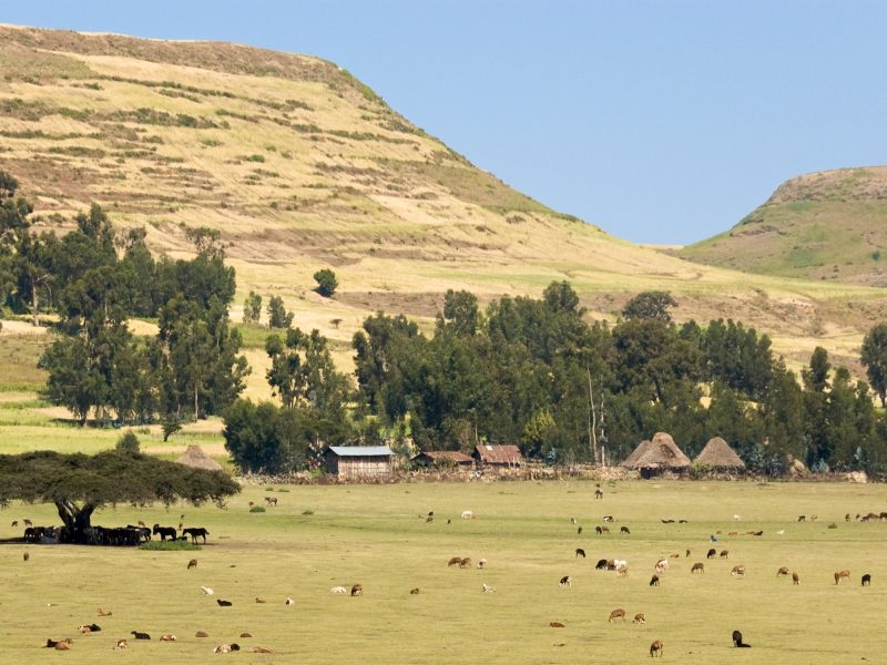 Ethiopia